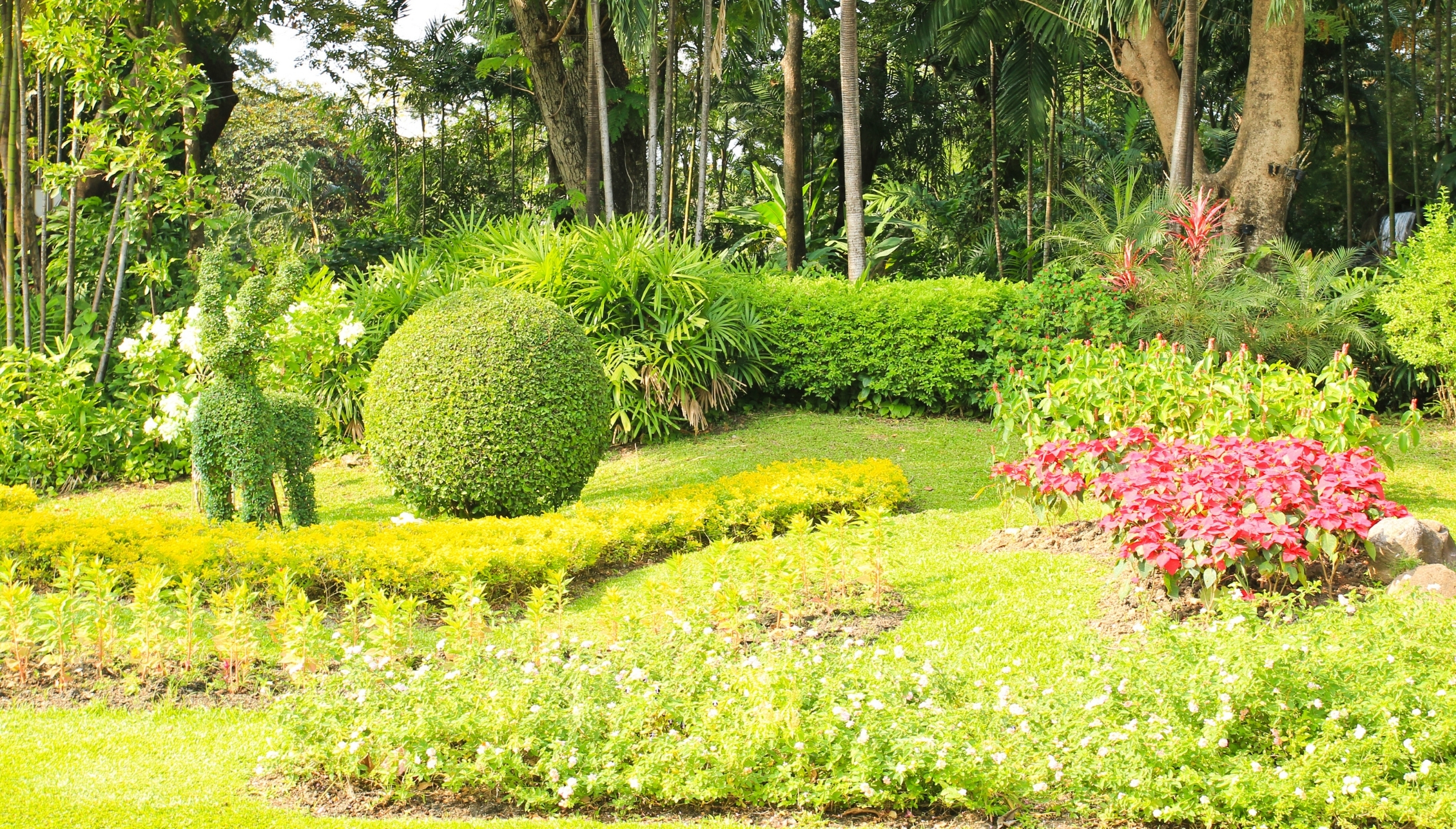 Jardin beau
